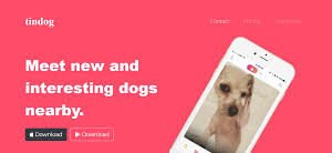TIN DOG BOOTSTRAP PROJECT