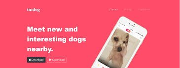 TIN DOG BOOTSTRAP PROJECT